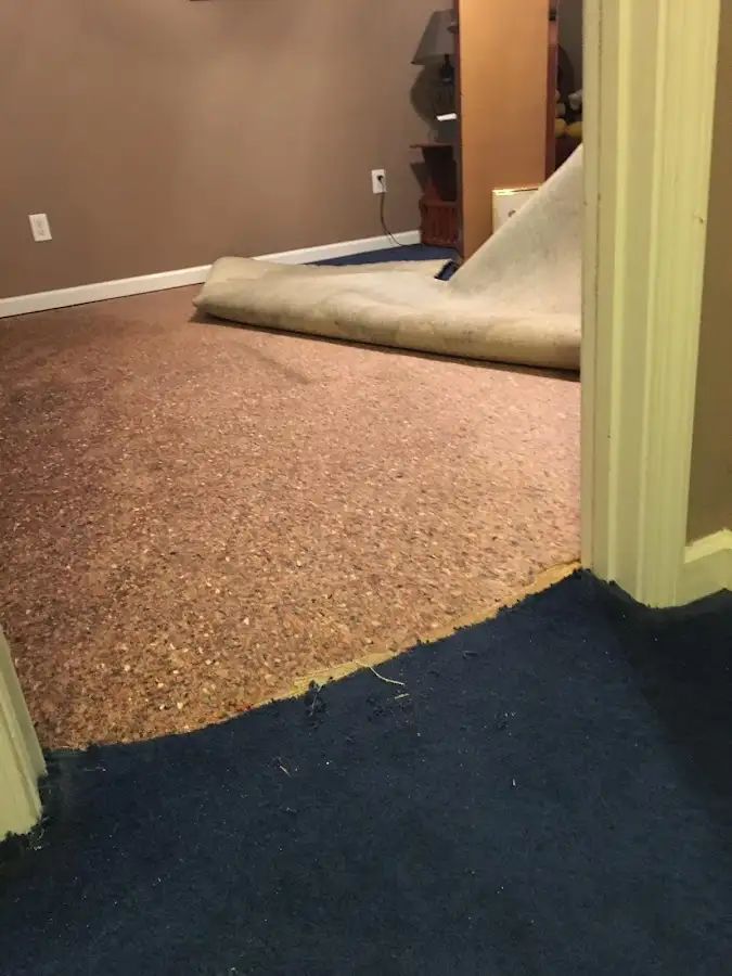 Carpet pad removal revealing water damage during Drying & Dehumidification in Hawaiian Paradise Park