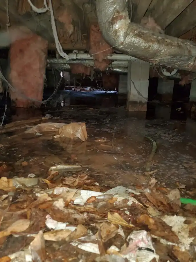 Crawl space flood assessment for Leak Detection & Repair in Hawaiian Paradise Park