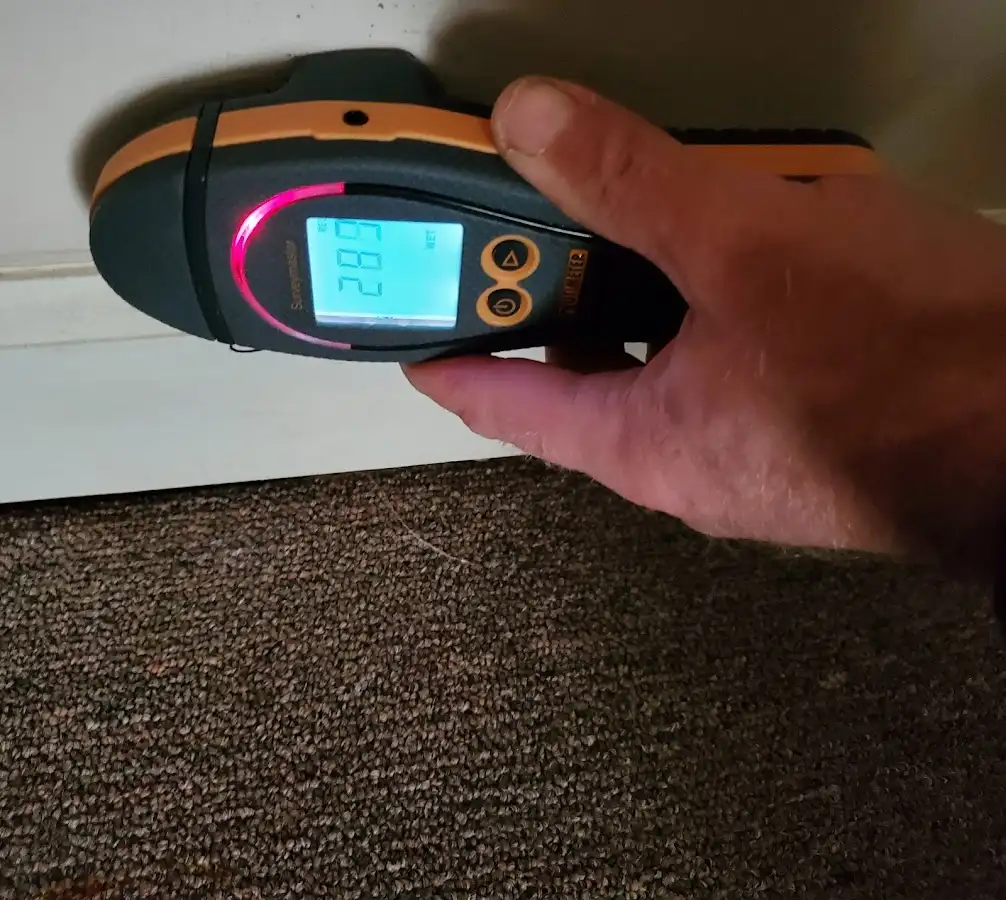 Moisture detection at baseboard during Storm Damage Restoration in Hawaiian Paradise Park